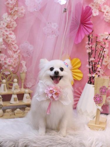 20250307ゆずちゃん